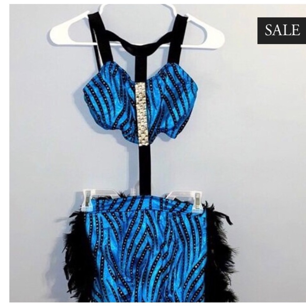 Dance Costume - Zebra w/ rhinestones & feathers